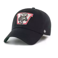 '47 BRAND 47 Brand Wisconsin Badgers Franchise Bucky Hat
