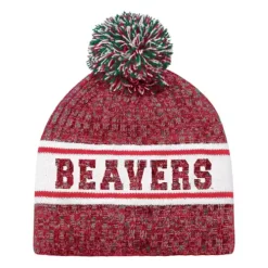Colosseum Minot State Beavers Parker Beanie