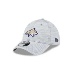 New Era Kids' Montana State Bobcats Speed 39Thirty Flex Fit Hat